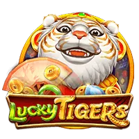 JILI Games Slot - Lucky Number